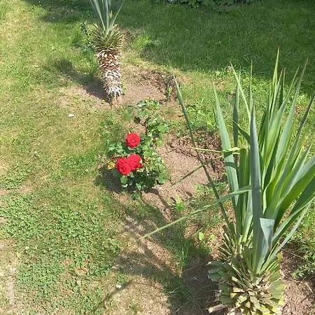 דירה Direkt Am Pool פומורי