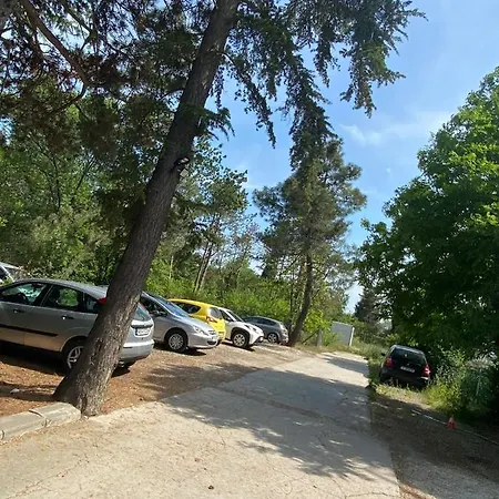 Direkt Am Pool * פומורי