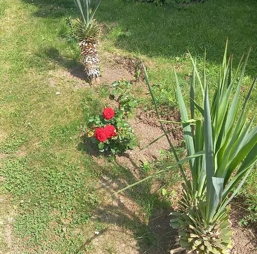 Lejlighed Direkt Am Pool Pomorie